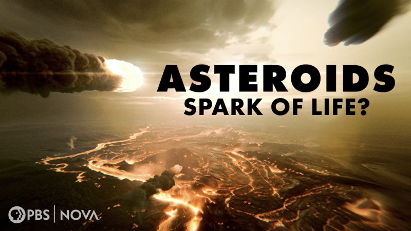 Asteroids in space, a PBS NOVA provided image. 