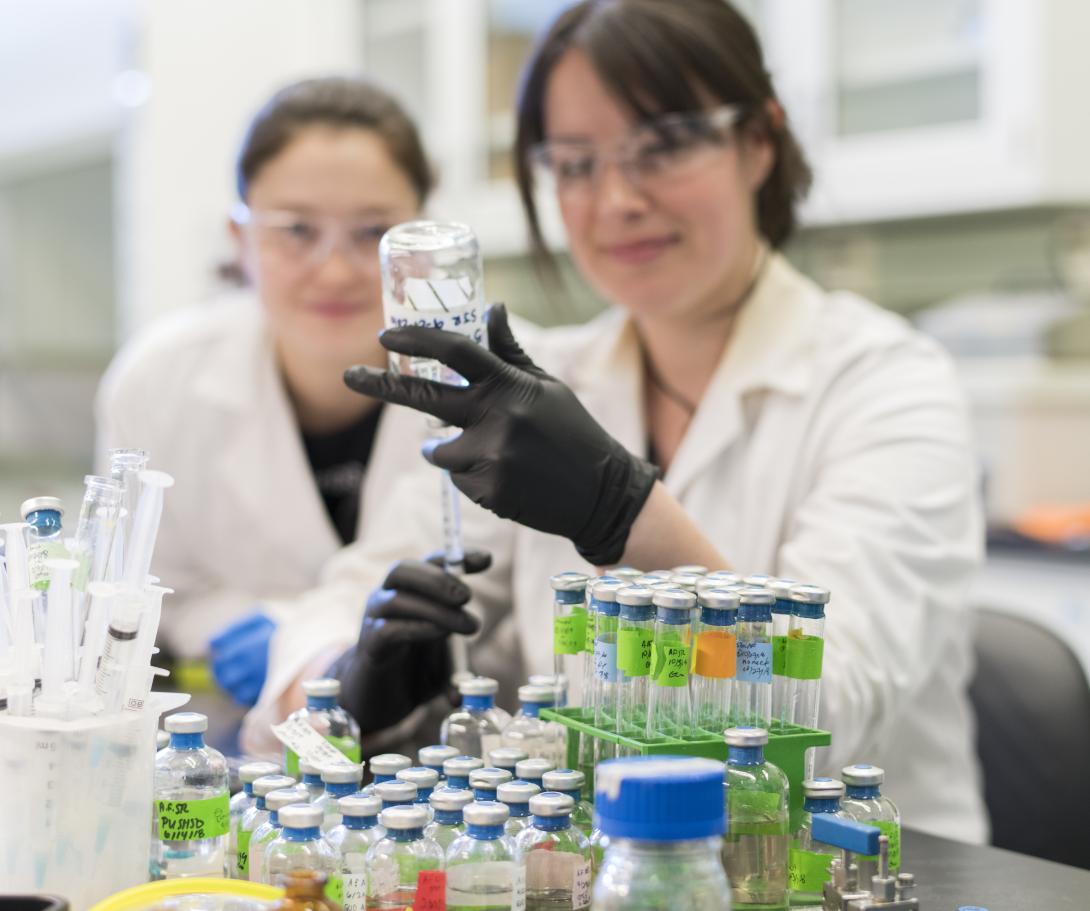 Young scientists in the lab